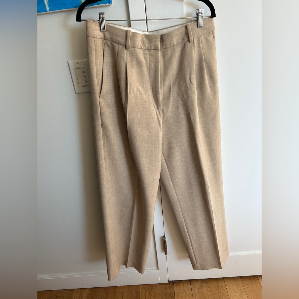 Aritzia Beige Tailored Trousers
